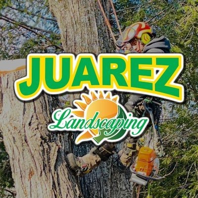 JuarezLandscp